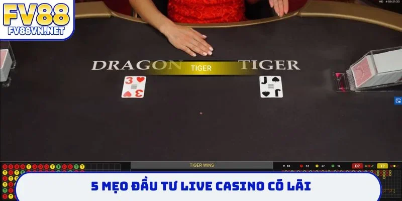 5 mẹo đầu tư live casino có lãi