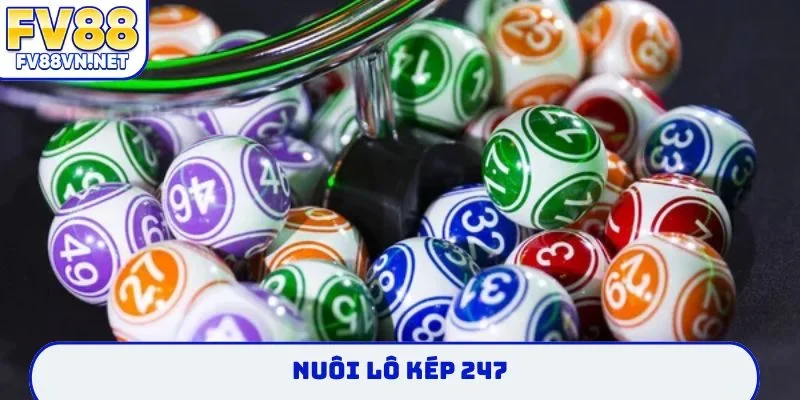 nuôi lô kép 247