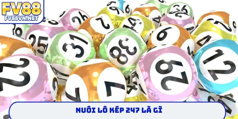 Nuôi lô kép 247 là gì