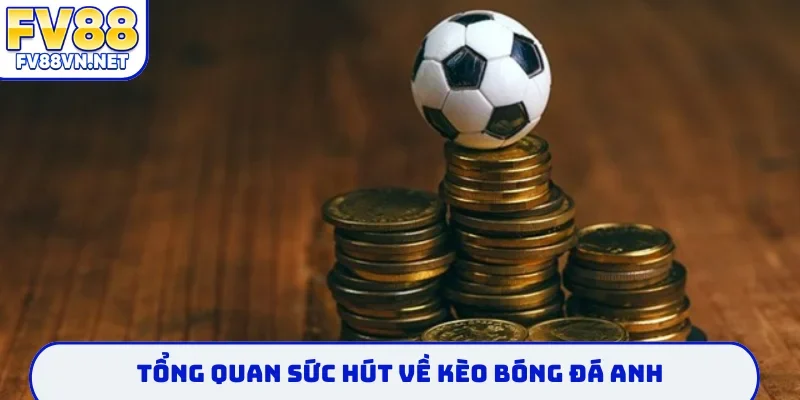Tổng quan sức hút về kèo bóng đá anh